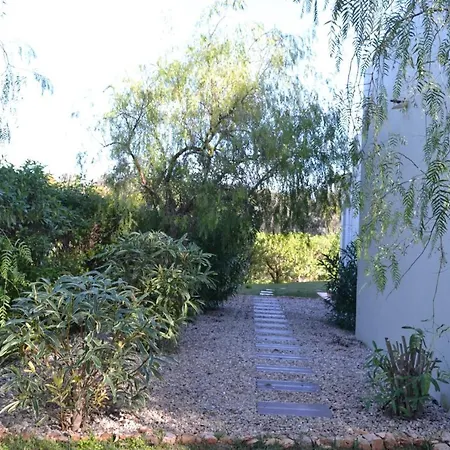 Eucalyptus Villa Albufeira
