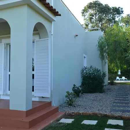 Eucalyptus فيلة *