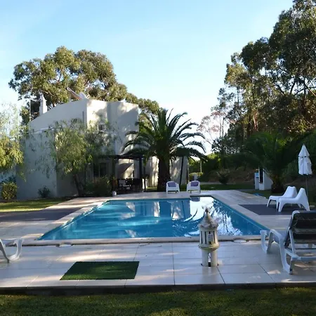 Eucalyptus Albufeira