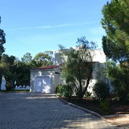 Eucalyptus Albufeira