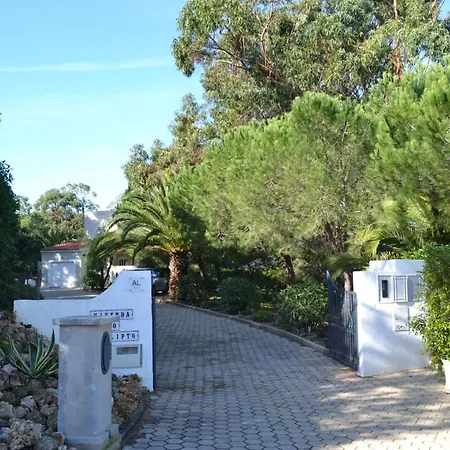 Eucalyptus Villa
